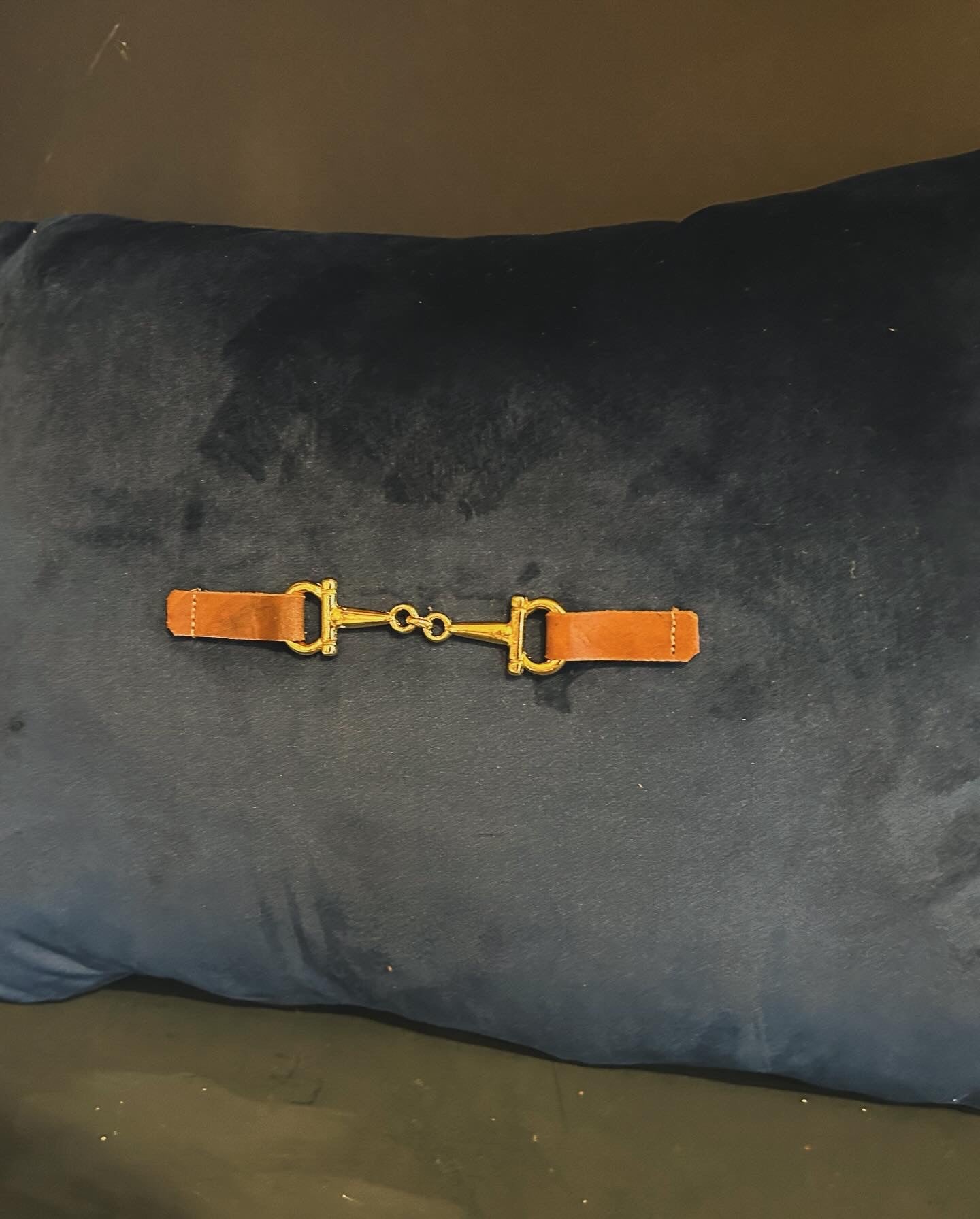 Velvet Snaffle cushions