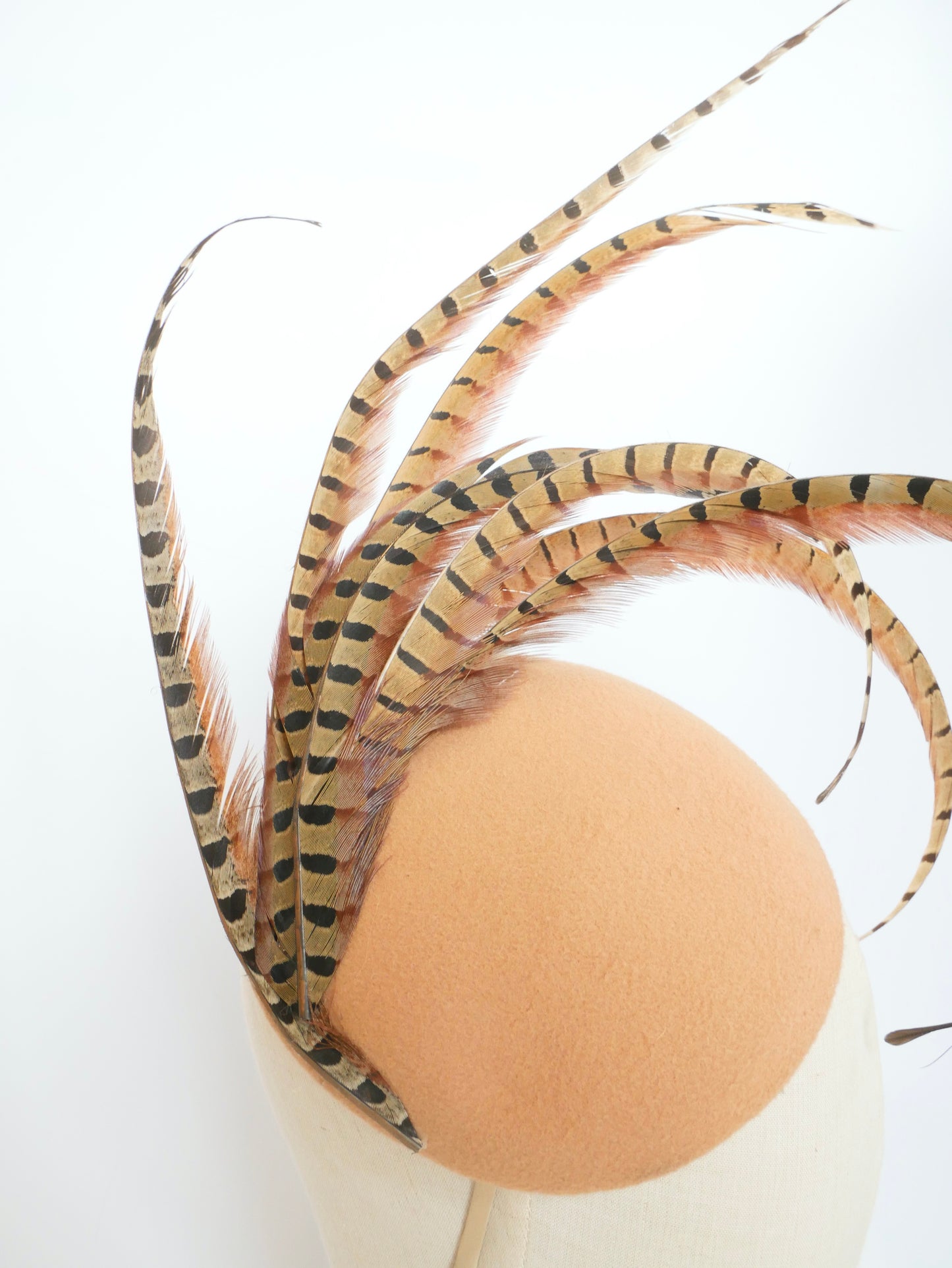 Pheasant Feather Fascinator beige