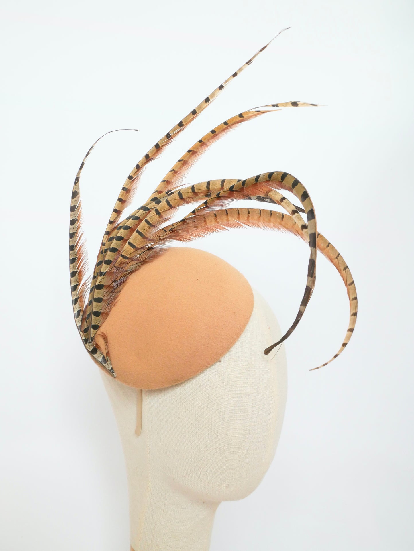 Pheasant Feather Fascinator beige